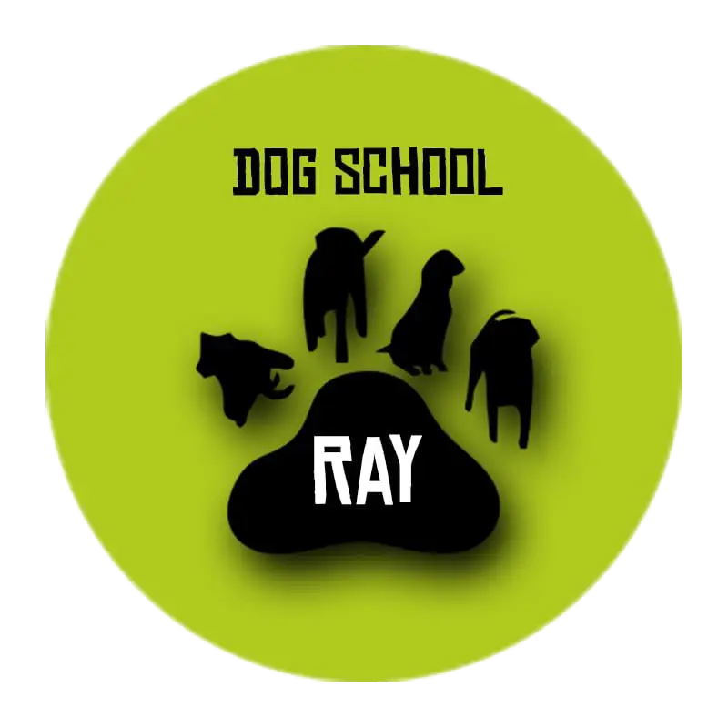 DOG SCHOOL RAY